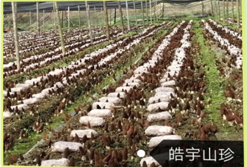 &#24517;&#36194;&#22312;&#32447;&#23458;&#26381;&#45;&#24517;&#36194;&#40;&#20013;&#22269;&#41;