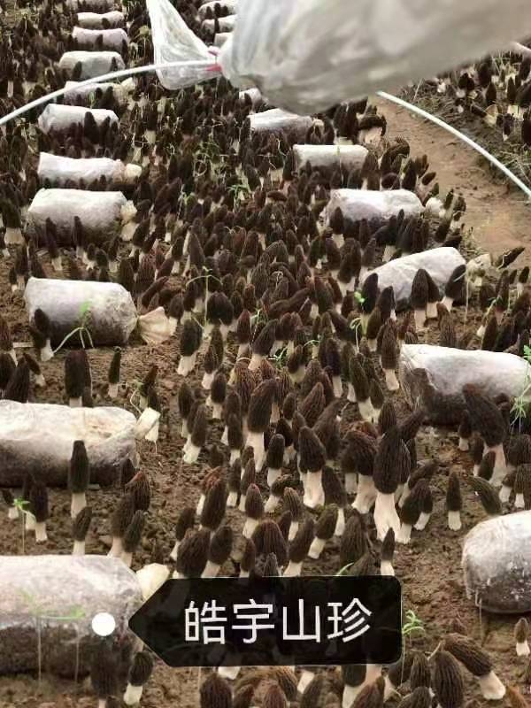 &#24517;&#36194;&#22312;&#32447;&#23458;&#26381;&#45;&#24517;&#36194;&#40;&#20013;&#22269;&#41;